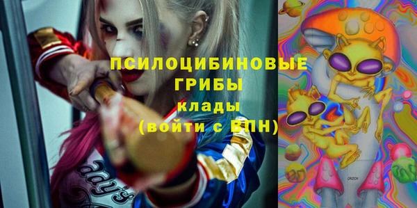 крисы Заволжск