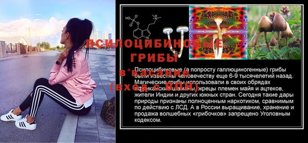 ешки Заволжье