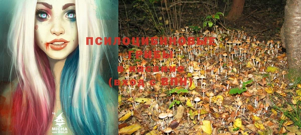 крисы Заволжск