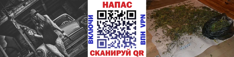 Купить  Ивангород  Конопля индика 